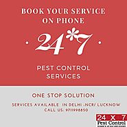 Book You Pest Control Service Online with 24x7pestcontrol