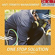 24x7pestcontrol - Protect your beautiful home, Hire Pest...