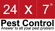 Home | 24x7 Pest Control