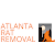 Rat Exclusion Service For Your Home