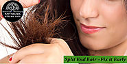Website at http://mitvanastores.com/split-end-hair-fix-early/