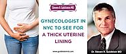 Dr. Steven R. Goldstein MD – Gynecologist in NYC to See for A Thick Uterine Lining