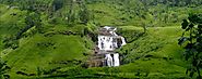 Waterfalls & Tea