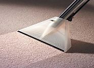 Carpet Cleaning Services in Sunshine Coast