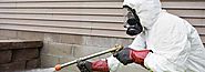 Toronto’s Professional Residential Pest Control Services - Pestico