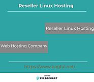 Reseller Linux Hosting