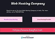 Web Hosting Company in India