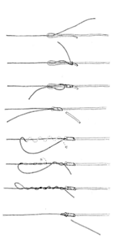 Don't Be A Loose Knot: 10 Of The Best Knots For Every Angler (Saltwater and Freshwater)