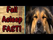 How to Fall Asleep Fast | 7 SHOCKING Ways to Fall Asleep Quickly