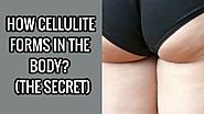 The Untold Secret - How Does Cellulite Forms In The Body