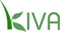 Loans that change lives | Kiva