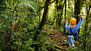 Experience Costa Rica Nature and Adventure Tours