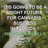 Cannabis – Bright Future In The Business Industry