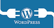 Top Tricks to Choose Best PSD to WordPress Conversion Company