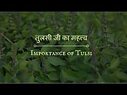 Importance of Tulsi (तुलसी जी का महत्त्व ) | GIVE GITA