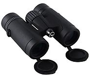 The Best Binoculars for the Money-2018 -