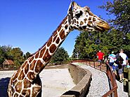 Mesker Park Zoo