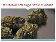 Buy Medical Marijuana Flower In Canada