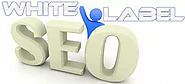 How to Use White Label SEO for Business Visibility? | EZ Rankings