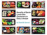 Benefits of Bento Lunch Box Containers in Daily Lifestyle