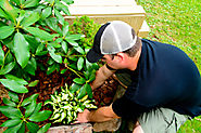 Increase the Value of Your Property with Landscaping!