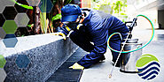 Effective Pest Control Services In South Delhi