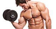 Underground Bodybuilding Forum