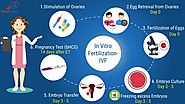 IVF Treatment in India - Get it with Healboat