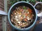 Why Composting Helps the Environment