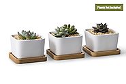 3.54 Inch White Ceramic Contemporary Square Design Succulent Plant Pot/Cactus Plant Pot With Bamboo Tray - Pack of 3