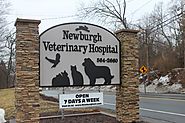 Puppy Wellness Packages | Puppy Wellness Program Newburgh | Newburgh Veterinary Hospital | Newburgh Veterinary Hospital