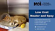 Low Cost Neuter and Spay by Newburgh Veterinary