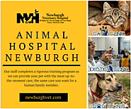 Best Animal Hospital in Newburgh