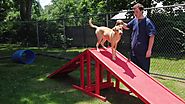 Super Fun Dog Daycare & Pet Boarding at Newburgh Vet and Animal Hospital