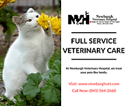 Full Service Veterinary Care by Newburgh Veterinary Hospital