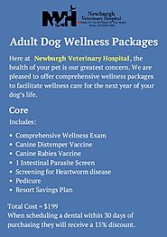 Great Adult Dog Wellness Packages by Newburgh Vet