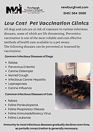 Low Cost Pet Vaccination Clinic - Newburgh Vet Hospital