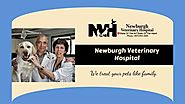 Newburgh Animal Hospital: Veterinary Health Care