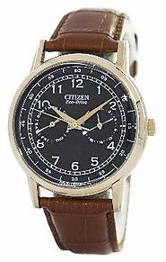 Citizen Dress Eco-Drive AO9003-08E Men’s Watch – Timepiecestowatches.com