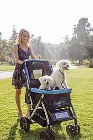 Dog Strollers For Medium Dogs