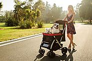 Pet Stroller For Medium Dogs