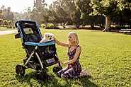 Care for Your Dog Using Dog Strollers for Large Dogs – Pet Rover