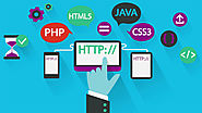 Affordable Website Development and Designing Company in Delhi