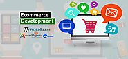 Ecommerce website development will lead your business towards success path