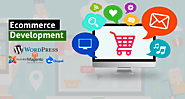 Everything about Ecommerce Websites