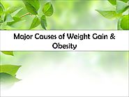 Major Causes of Weight Gain & Obesity