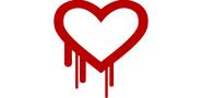 Heartbleed Heartache: Who's Capitalizing Off of Security Flaws? - inSegment Digital Marketing Blog