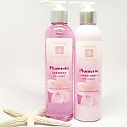 What are Plumeria Shampoo’s Health Benefits?