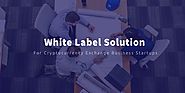 Absolute White-label Software to Start Cryptocurrency Exchange