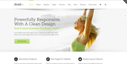 21 Excellent Responsive WordPress Themes For 2014